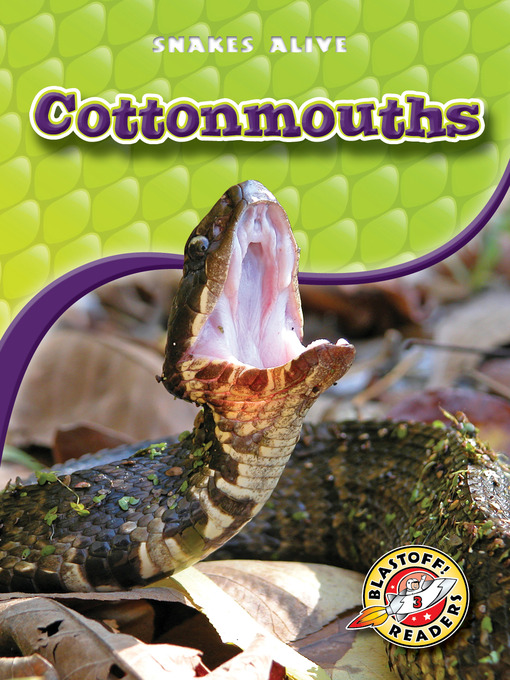Title details for Cottonmouths by Colleen Sexton - Available